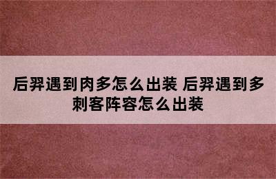 后羿遇到肉多怎么出装 后羿遇到多刺客阵容怎么出装